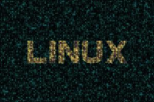 Astra Linux: «Многие не решаются шагнуть в удивительный мир Linux»