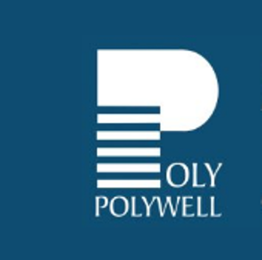 Polywell Computers