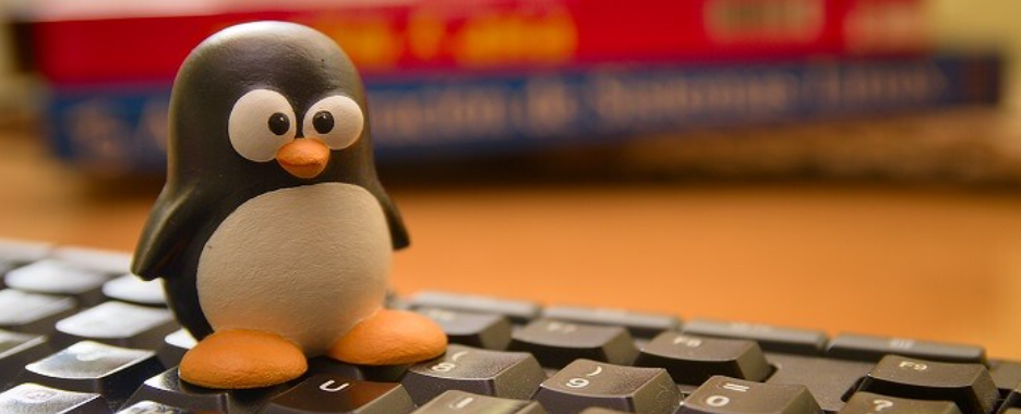 Astra Linux #1 на рынке операционных систем